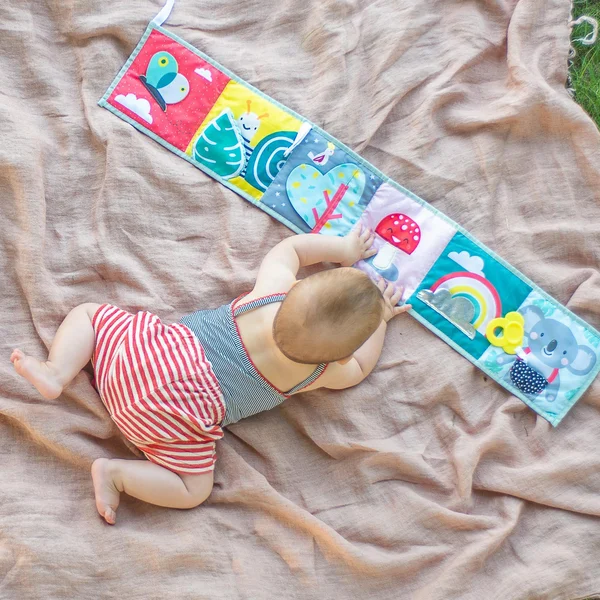 Taf Toys Koala clip on pram book - Taf Toys