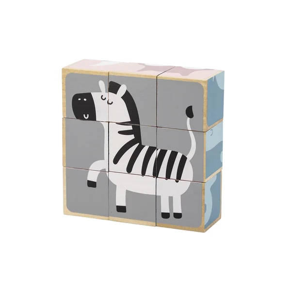 PolarB 6-Side Puzzle Blocks - PolarB