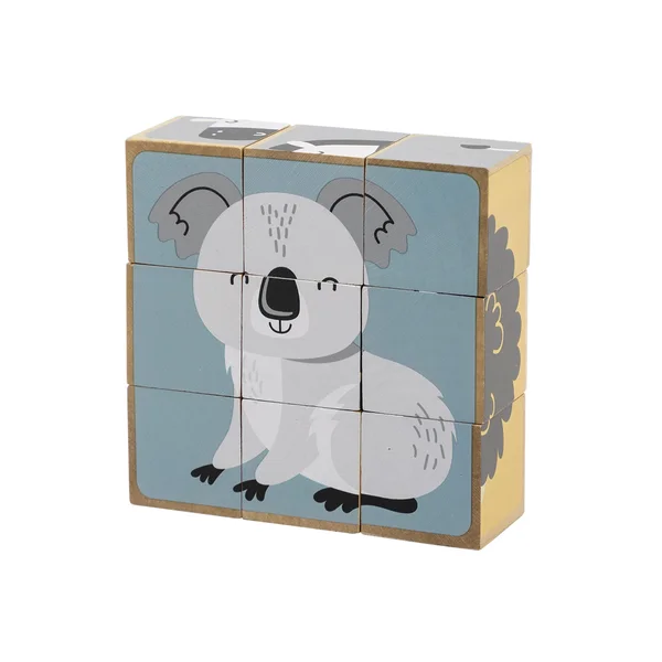 PolarB 6-Side Puzzle Blocks - PolarB