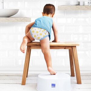 Bambino Mio Potty Training Pants Sunny Days - Nordbaby