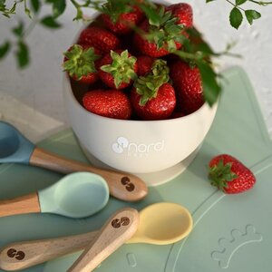 Nordbaby Silicone Suction bowl - Nordbaby
