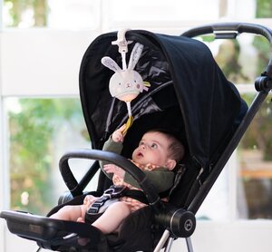 Taf Toys Garden stroller Bunny musical toy - Done by Deer