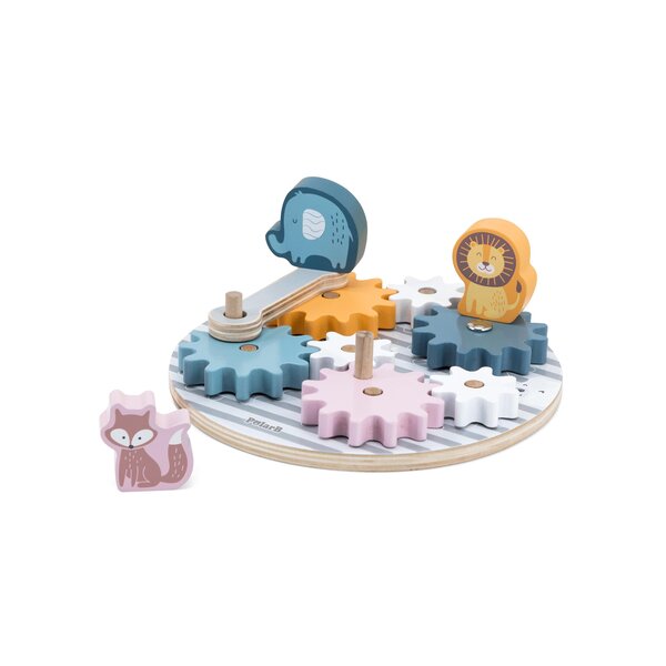 PolarB Spinning Gears - PolarB
