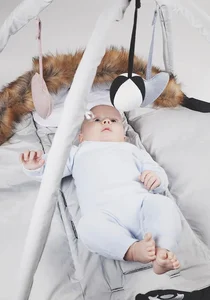 Easygrow Toy bar for footmuff and babynest - Easygrow