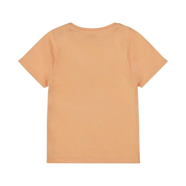 Dirkje T-shirt ss - Dirkje