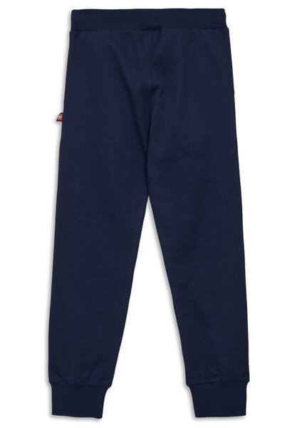 Legowear спортивные штаны Lwpasi 600 - Legowear