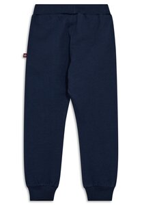 Legowear спортивные штаны Lwpasi 700 - Legowear