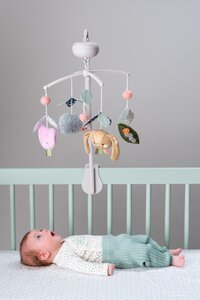 Taf Toys Urban Garden musical mobile - Taf Toys