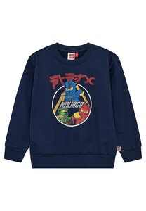 Legowear свитер Lwsian 606 - Legowear