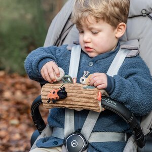 Done by Deer Stroller activity toy, Tiny trails Colour mix - Done by Deer